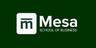 Mesa School of Business, Bangalore